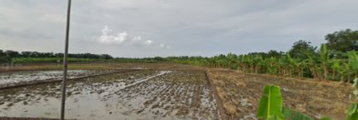 Wisata jeruk segeran kidul